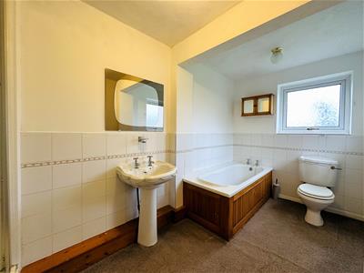 Picture 15